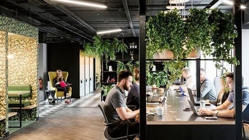 Even after a short exposure, there's a causal relationship between open-plan office noise and both stress and negative mood.