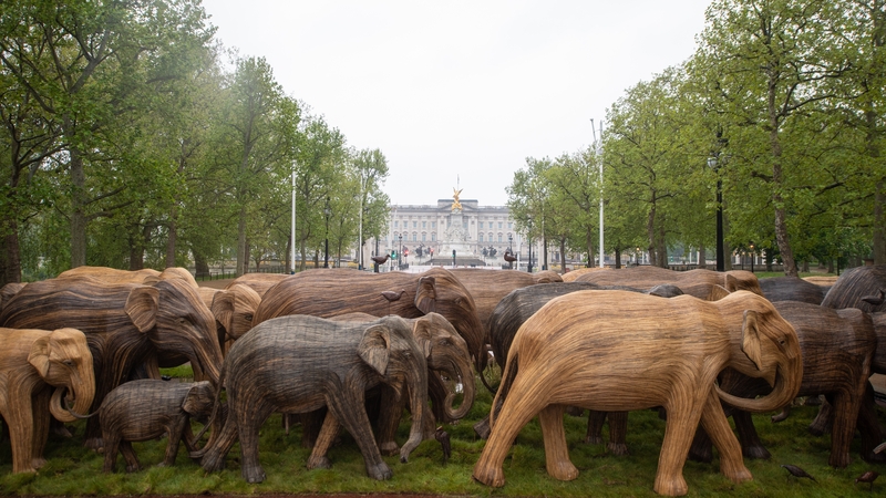 The 100 Asian elephants were created by communities in the southern Indian state of Tamil Nadu