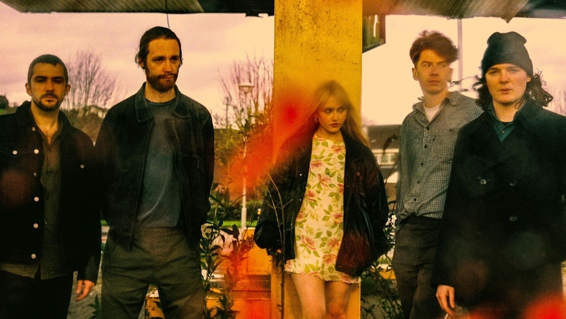 Just Mustard: Louth and clear