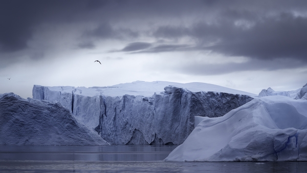 A reduction in the amount of fresh, light-colored snow leaves more old and dark snow exposed on the surface, which in turn causes the ice sheet to absorb more heat and melt faster (file pic)
