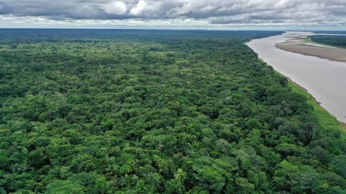 A third of key biodiversity areas globally lack any form of protection or conservation coverage