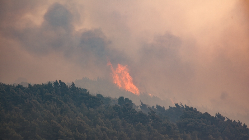 A view of smoke rising from the forest as a wildfire burns in Megara