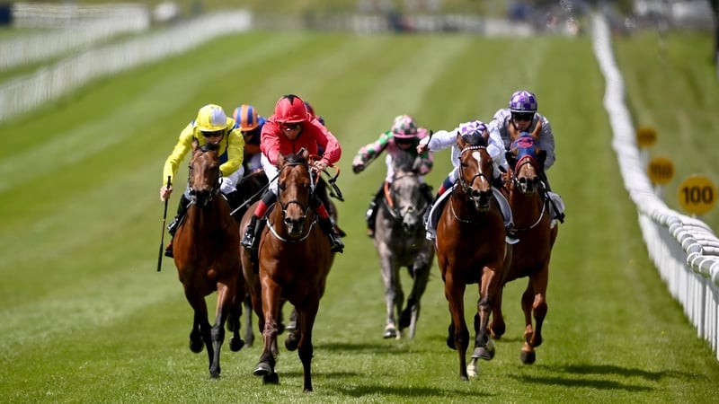 Castle Star, with Chris Hayes up, second from left, race clear on their way to winning
