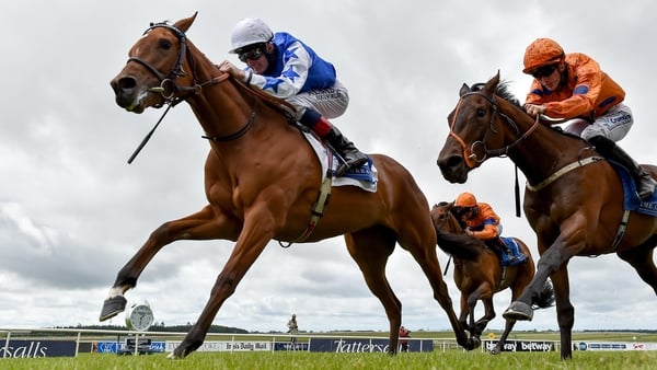 She's Trouble (L), with Kevin Manning up, on their way to winning the Tally Ho Stud Irish EBF Fillies Maiden