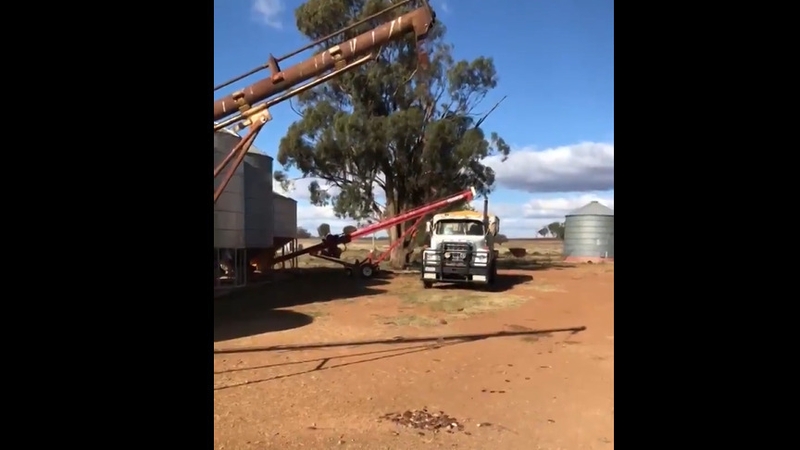 Image: @William84533624