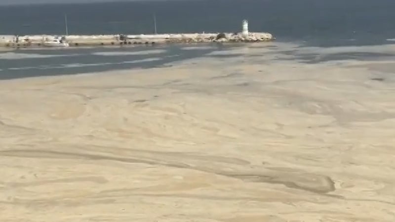 Image: @cennet_cinarcik