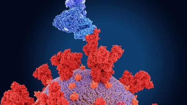 Under the new system, the variant first reported in Kent, England is renamed Alpha