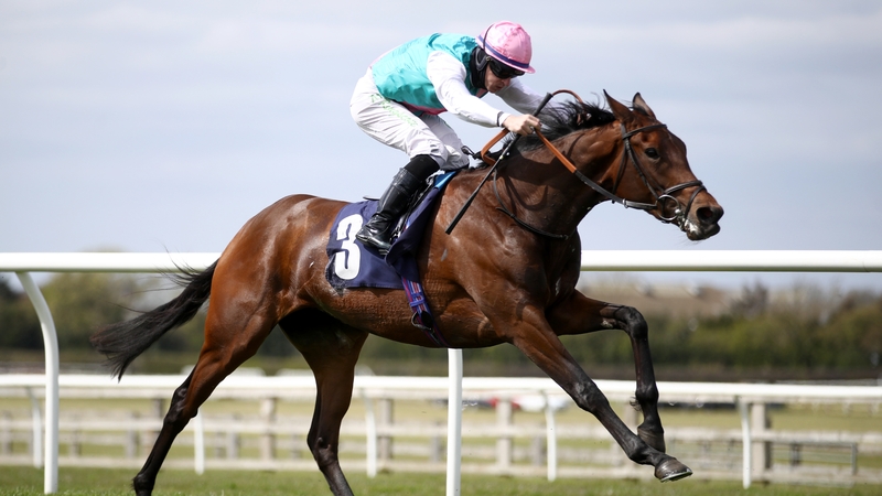 Noon Star may be back for Royal Ascot