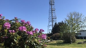 Nuacht an lae: Náisiúnta, Idirnáisiúnta agus Áitiúil. show image