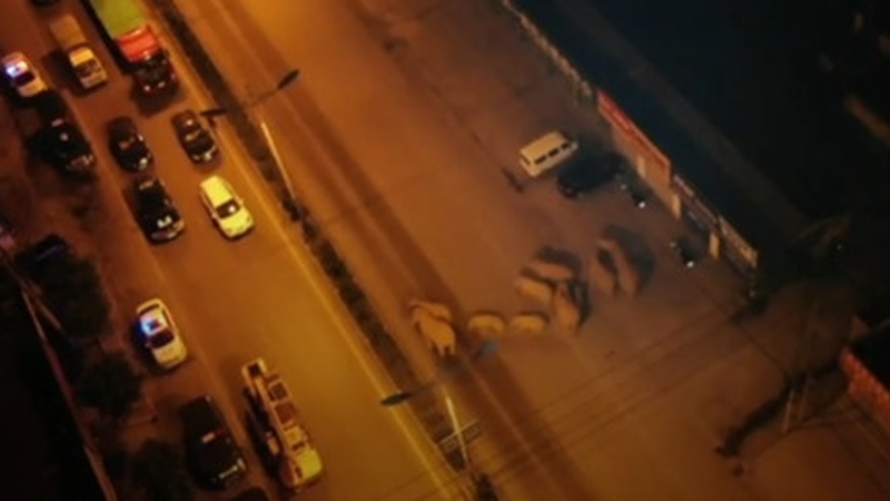 Image: Forest Fire Brigade of Yunnan Province