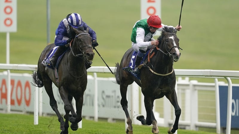 Pyledriver (far rail) edged out 
Al Aasy by a neck in last year's race