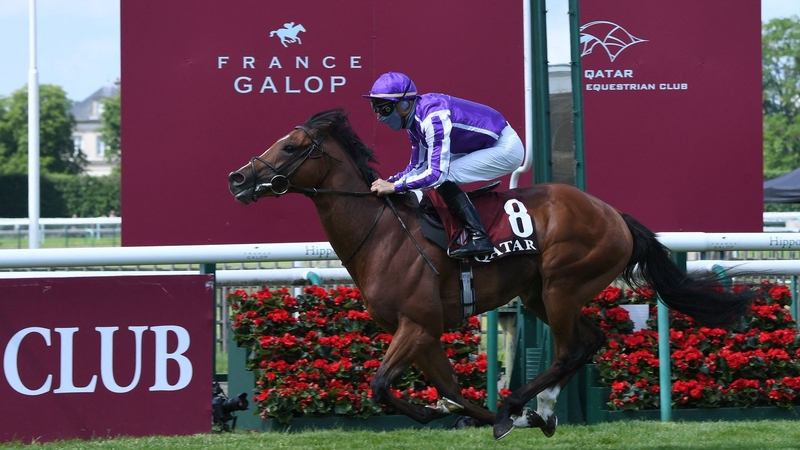 St Mark's Basilica missed last month's Juddmonte International at York due to a leg infection