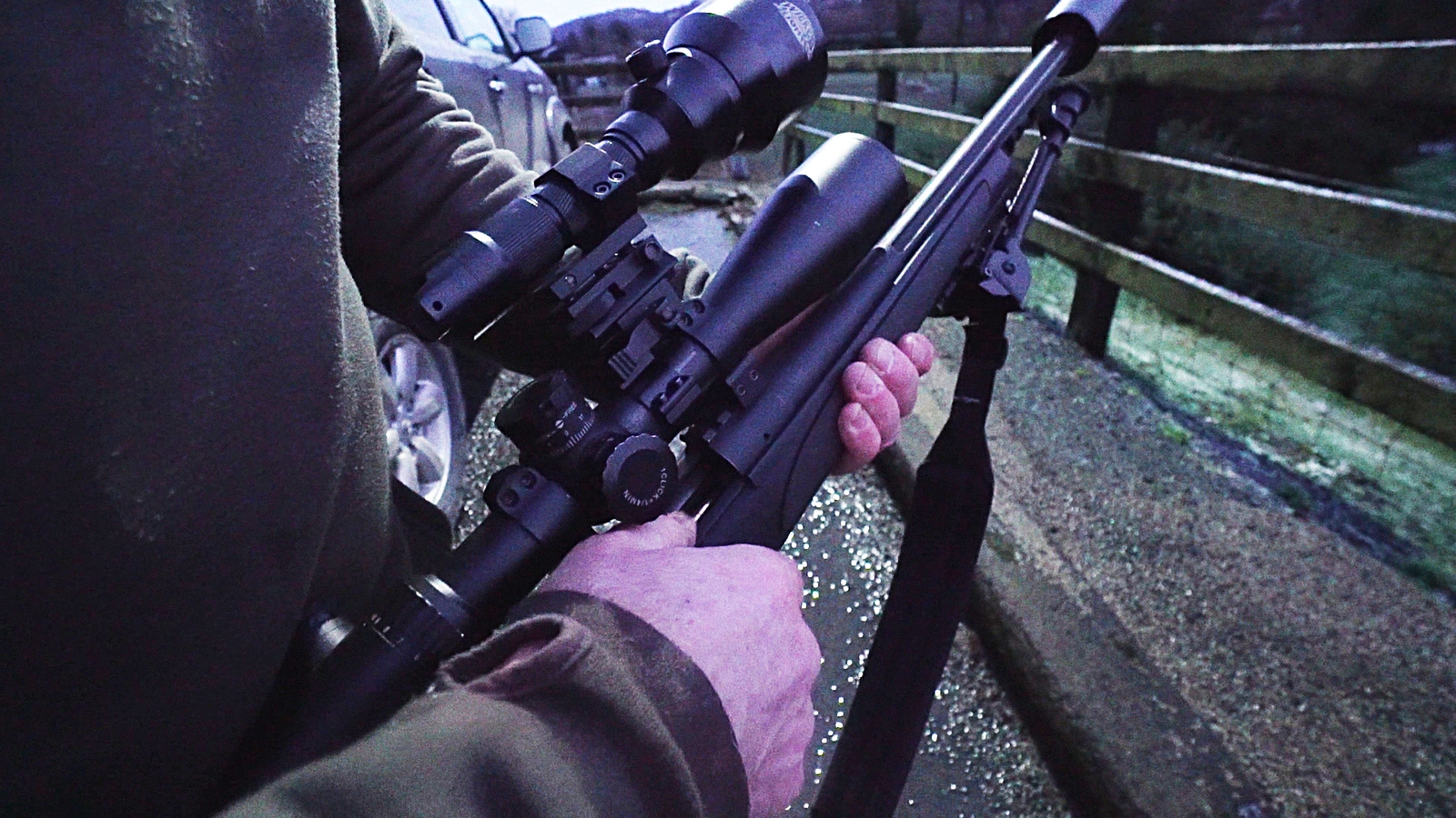 Around 30 deer hunters are used by the Wicklow Deer Management Project to cull deer