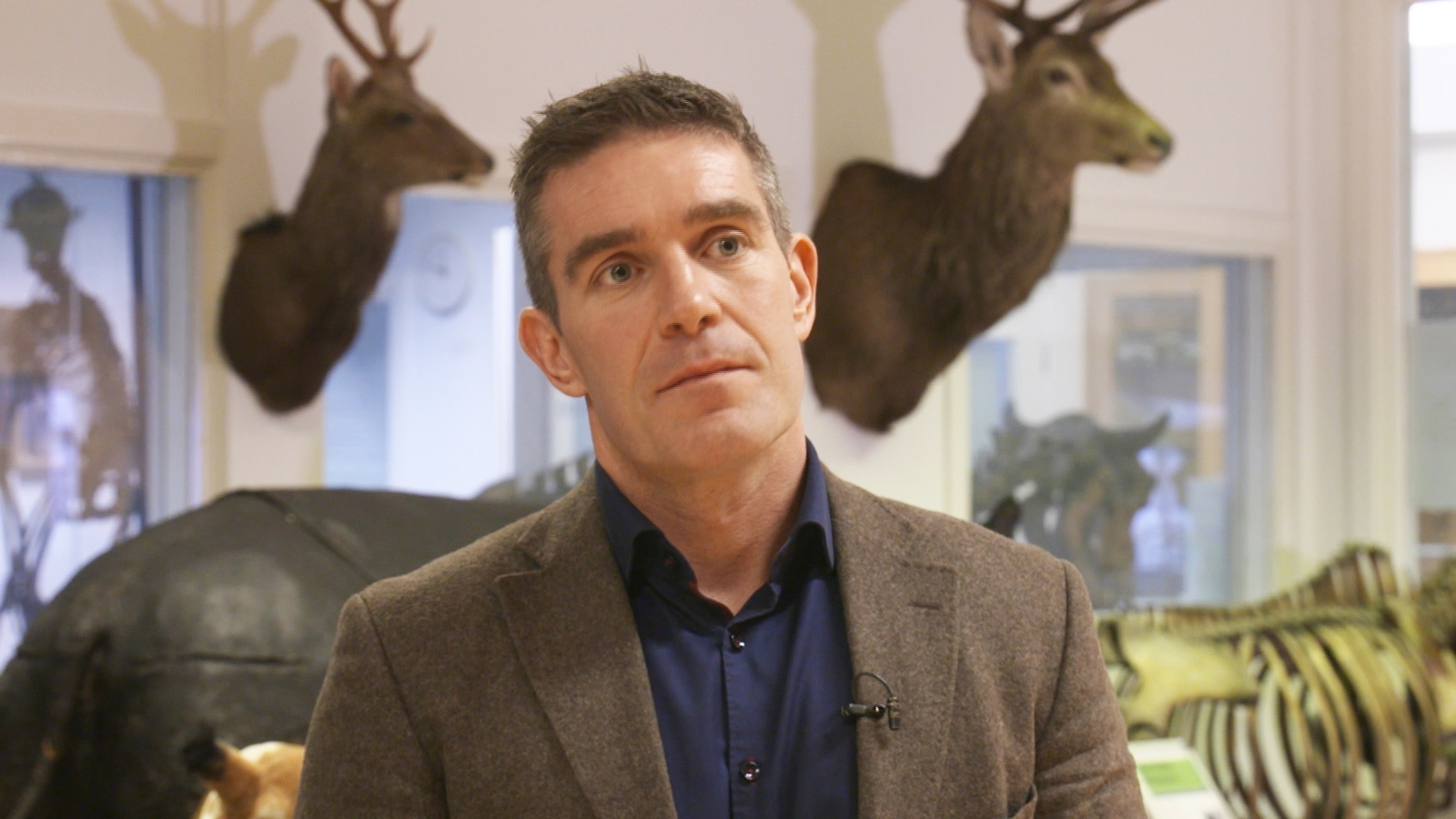 Ian Donohoe, a zoology researcher at Trinity College Dublin, said that it is not clear how many deer there are in Ireland
