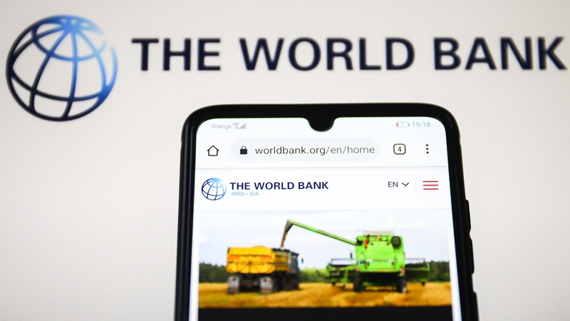 FDI flows to developing economies were at 2.3% of GDP in 2023 - about half the level of their peak in 2008, the World Bank has said