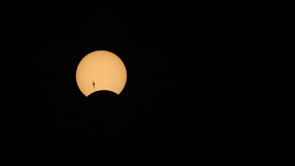 A bird flies in the sky as the June 2020 partial solar eclipse appears in Beijing. Photo: Xu Yuewu/Qianlong.com/VCG via Getty Images