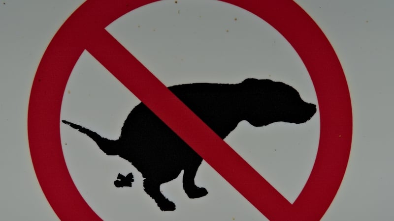 Head of External Affairs at Vision Ireland Kevin Kelly said, as someone who is blind, he is not able to detect dog poo before walking into it