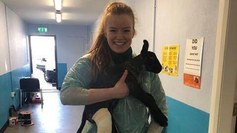 Evelyn McGinley holding a lamb who needed a cast for a broken leg