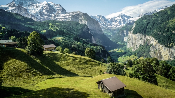 Swiss snub synthetic pesticide ban plan
