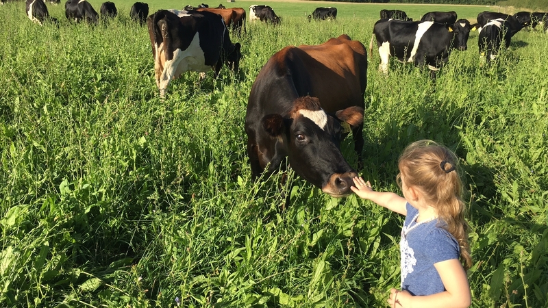 'Decarbonisation in the Irish agricultural sector, then, is imperative, with adaptation of farming systems playing a pivotal role in ensuring ambitious national emissions targets are met.'
