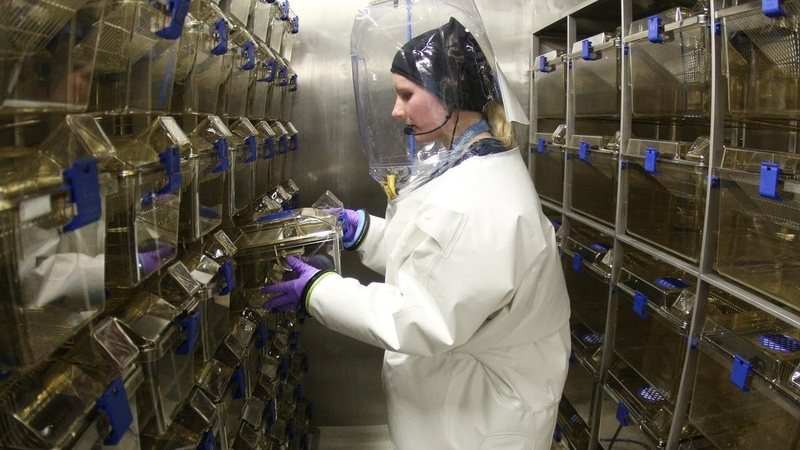 A virologist in the biosafety level 4 lab at the Bernhard Nocht Institute for Tropical Medicine in Hamburg, Germany. Photo: DPA Picture Alliance/Alamy Stock Photo