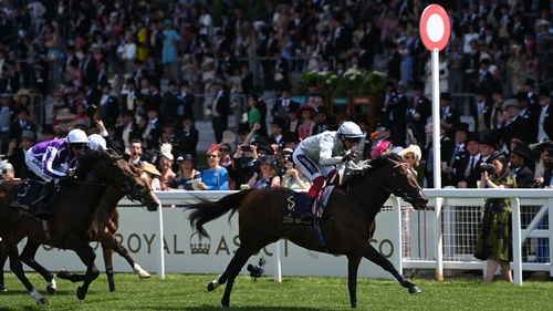 Palace Pier won nine of his 11 starts, finishing second and third in his other two career outings