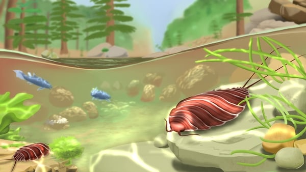 Woodlice cousin Oxyuropoda ligioides in its 365 million years old continental Irish environment. Illustration: Diane Dabir Moghaddam