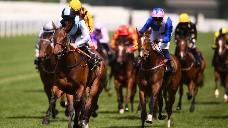 Quick Suzy winning the Queen Mary stakes in May