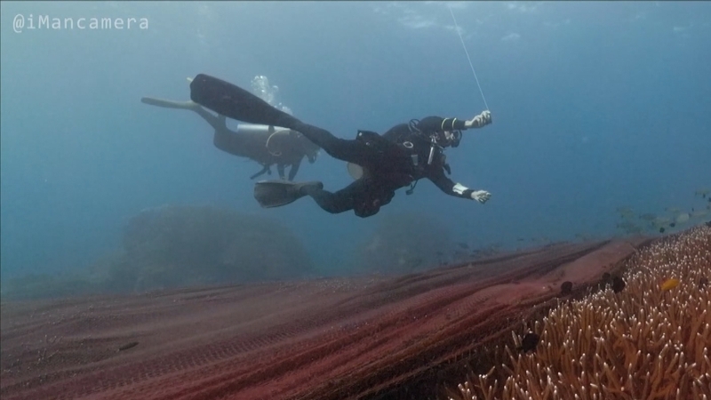 The fishing net covering the coral reef off the island of Koh Losin, Thailand. Courtesy: @imancamera