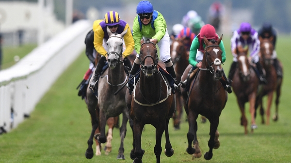 Subjectivist could now be retired to stud