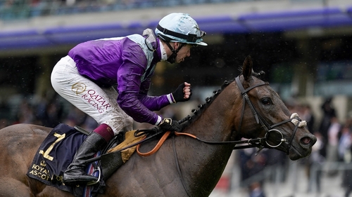 Alcohol Free is a general 3-1 favourite for the Falmouth Stakes