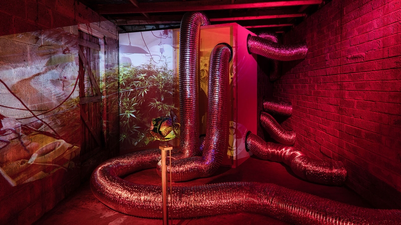 'Growhouse' by Marie Brett (Pic: Jed Niezgoda)