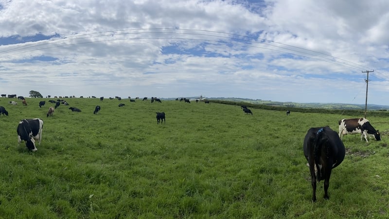 Shinagh Farm is a former beef and tillage enterprise on 200 acres near Bandon in Co Cork