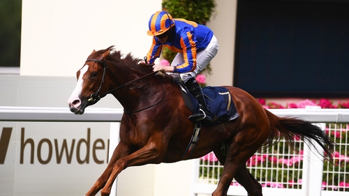 Connections of Love will be keen for the weather to remain dry in the run up to the Ascot feature