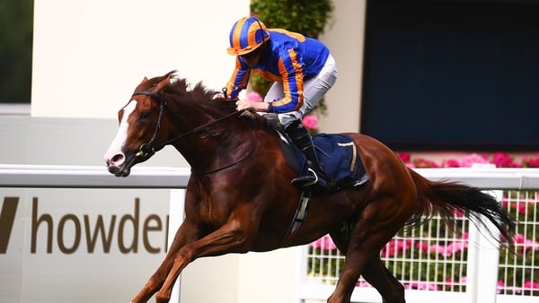 Last year's winder mare Love had tasted defeat in her last three outings