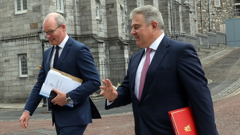 The conference took place in Dublin Castle (Pic:RollingNews.ie)