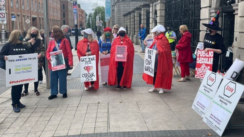 Protesters gathered outside Leinster House today