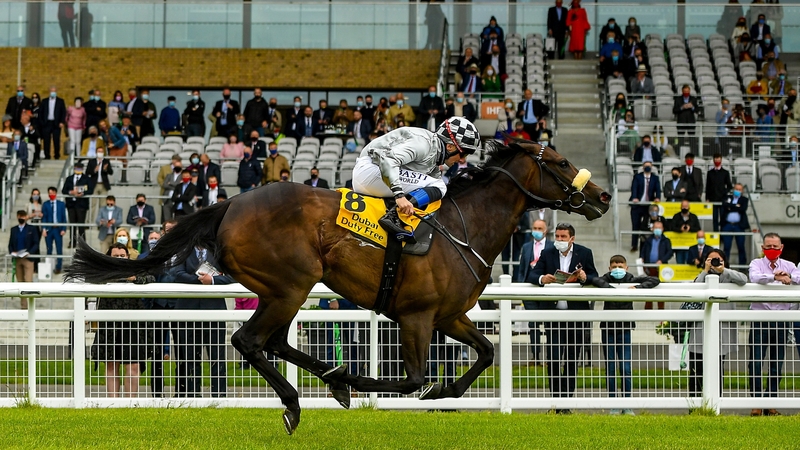 Romantic Proposal, with Chris Hayes up, passes spectators in the stand on their way to winning the Dubai Duty Free Dash Stakes