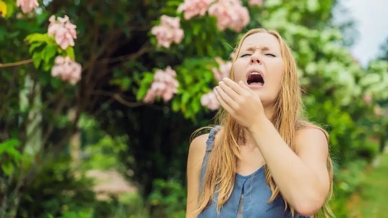 Here are some ideas for ways you can help soothe that sneeze, says Sam Wylie-Harris.