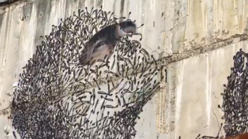 The eye-catching 'Pass freely' painting was created in conjunction with the Hugh Lane Gallery