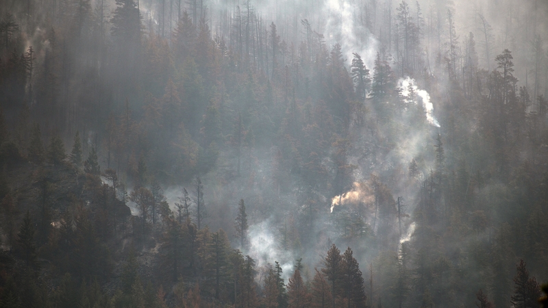 Most of the fires were caused by lightning strikes, officials have said