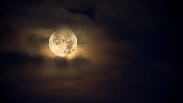 It's one of the most important parts of your astrological profile, discovers Liz Connor.