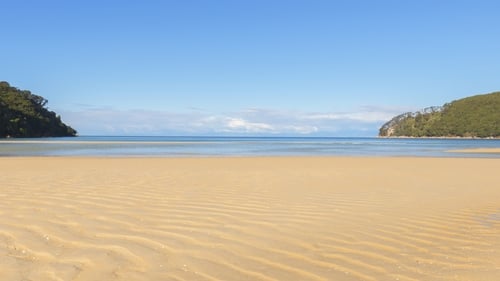 Temperatures are 'alarming', warn scientists (file image of Bark Bay in Nelson, New Zealand)