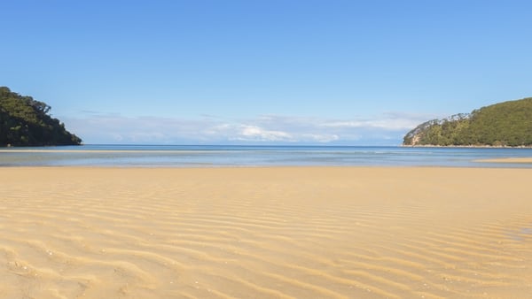 Temperatures are 'alarming', warn scientists (file image of Bark Bay in Nelson, New Zealand)