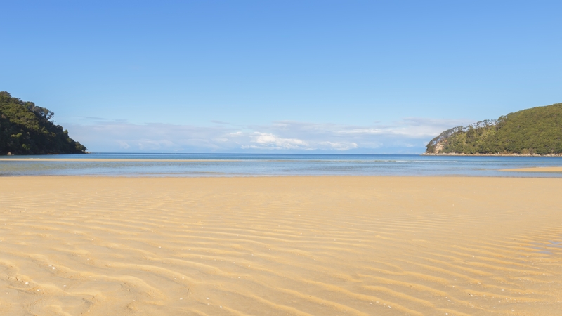 Temperatures are 'alarming', warn scientists (file image of Bark Bay in Nelson, New Zealand)