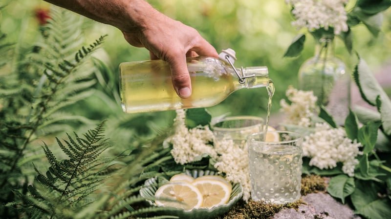 "There is something very satisfying about gathering elderflowers at this time of year," says Catherine.