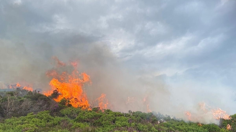 The current fire is located between the back of houses on Carrickbrack Road and fairways at Howth Golf Club (Pic: Dublin Fire Brigade)