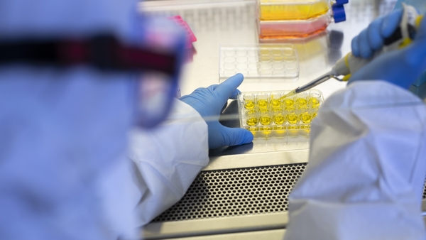 The change from using glass to single-use plastics (beakers, tissue culture flasks, pipettes, etc.) in research over the last few decades has created a global problem for their disposal.