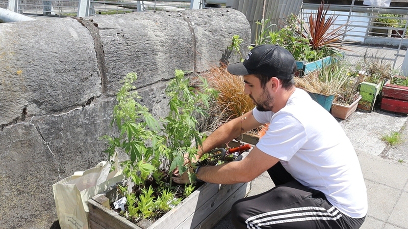 Martin Condon is calling for safe access to cannabis products