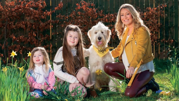 Ever since she was a child, Andrea Hayes has had an enormous love for animals